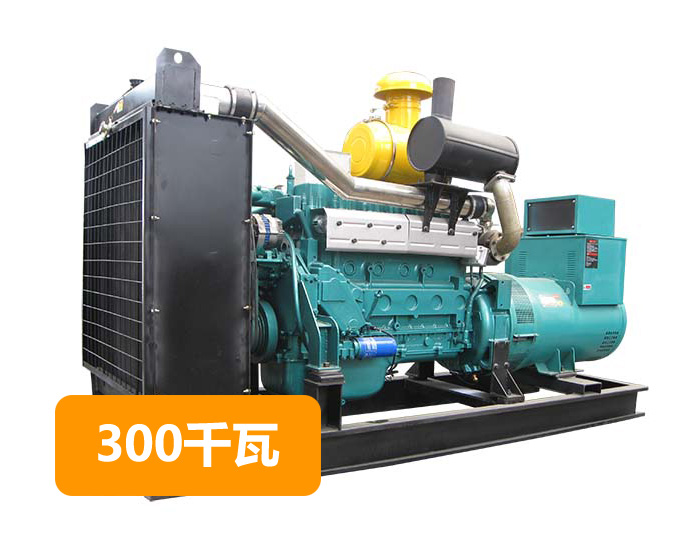 300kw柴油發(fā)電機(jī)組